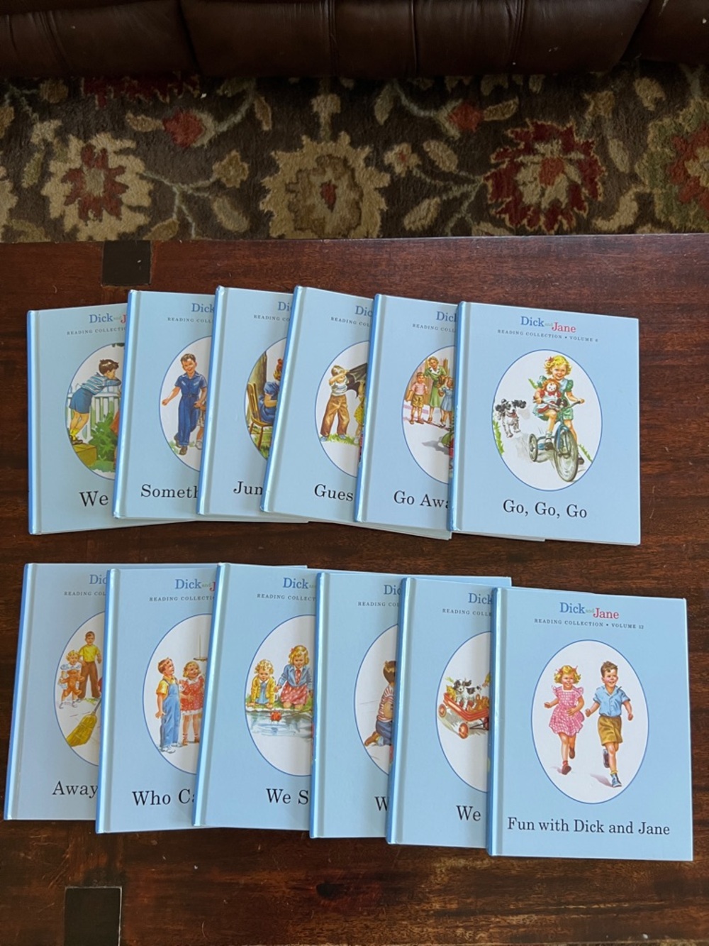 Vintage Dick and Jane Reading Collection - Light Blue Set